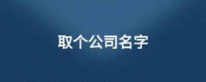 取個公司名字