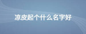 涼皮起個什么名字好