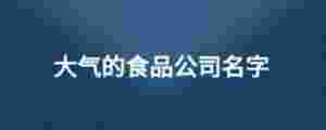 大氣的食品公司名字
