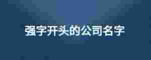 強字開頭的公司名字