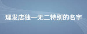 理發(fā)店獨一無二特別的名字