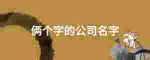 倆個字的公司名字