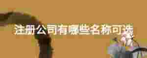 注冊公司有哪些名稱可選