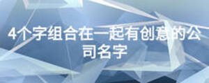 4個字組合在一起有創(chuàng)意的公司名字