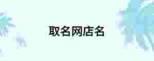 取名網店名