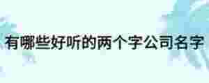 有哪些好聽的兩個字公司名字