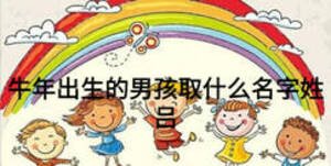 牛年出生的男孩取什么名字姓呂
