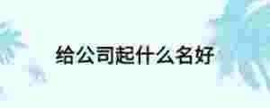 給公司起什么名好