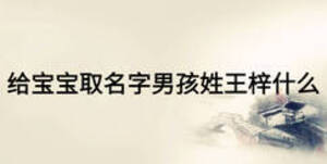 給寶寶取名字男孩姓王梓什么