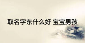 取名字東什么好 寶寶男孩