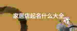家居店起名什么大全