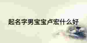 起名字男寶寶盧宏什么好