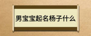 男寶寶起名楊子什么