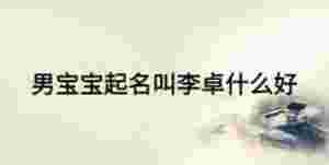 男寶寶起名叫李卓什么好