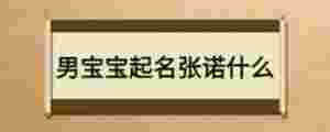男寶寶起名張諾什么