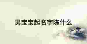 男寶寶起名字陳什么