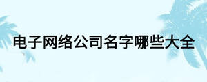 電子網絡公司名字哪些大全