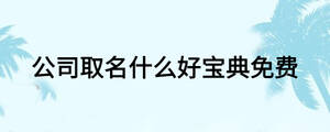 公司取名什么好寶典免費