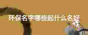 環保名字哪些起什么名好