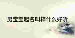 男寶寶起名叫梓什么好聽