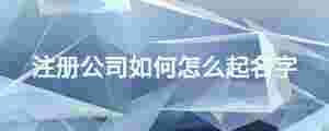 注冊公司如何怎么起名字