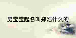 男寶寶起名叫鄭浩什么的