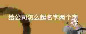 給公司怎么起名字兩個字