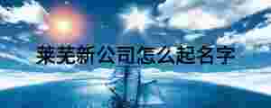 萊蕪新公司怎么起名字