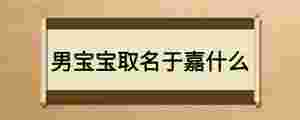 男寶寶取名于嘉什么