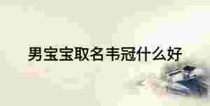 男寶寶取名韋冠什么好