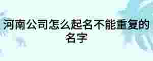 河南公司怎么起名不能重復(fù)的名字