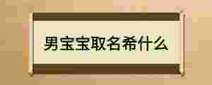 男寶寶取名希什么