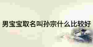 男寶寶取名叫孫宗什么比較好