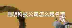 昆明科技公司怎么起名字