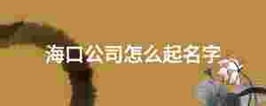 海口公司怎么起名字