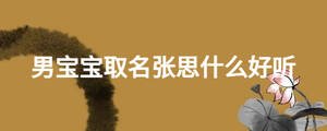 男寶寶取名張思什么好聽