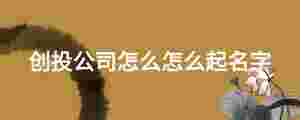 創投公司怎么怎么起名字
