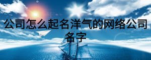公司怎么起名洋氣的網(wǎng)絡(luò)公司名字