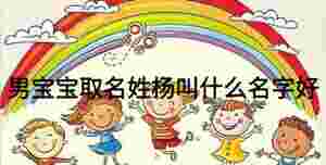 男寶寶取名姓楊叫什么名字好
