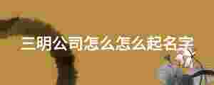 三明公司怎么怎么起名字