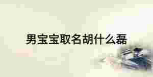 男寶寶取名胡什么磊