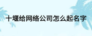 十堰給網絡公司怎么起名字
