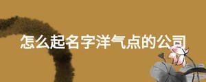 怎么起名字洋氣點(diǎn)的公司
