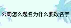 公司怎么起名為什么要改名字