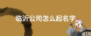 臨沂公司怎么起名字