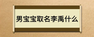 男寶寶取名李禹什么