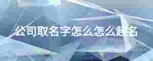 公司取名字怎么怎么起名