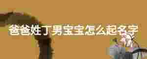 爸爸姓丁男寶寶怎么起名字