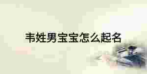 韋姓男寶寶怎么起名