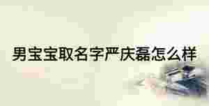 男寶寶取名字嚴(yán)慶磊怎么樣